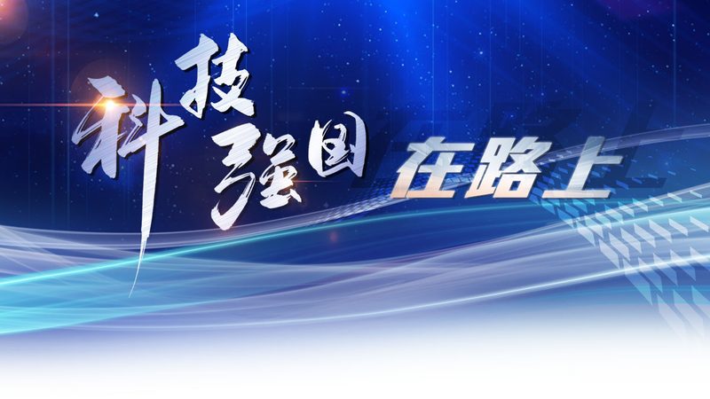 电商数据仓库建模：构建高效数据驱动的核心**